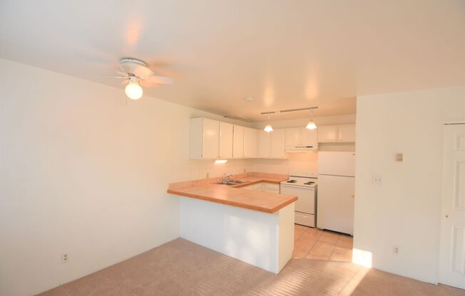 2030 Spruce St.