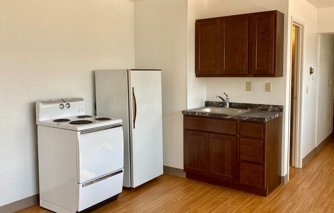 1 bed, 1 bath, 400 sqft, $1,130, Unit 301