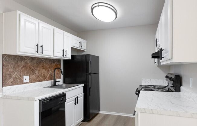 Kitchen-Renovated (1BR,1BA 690SF)