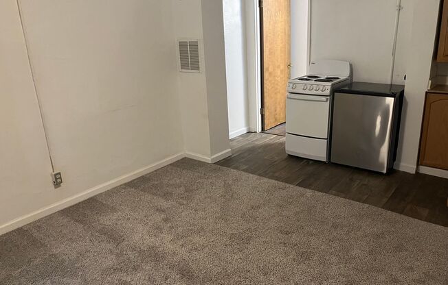 Studio, 1 bath, 182 sqft, $1,000, Unit 003