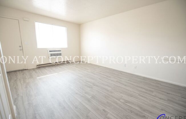 Studio, 1 bath, 360 sqft, $699, Unit 238