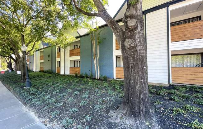 a row of apartment buildings with trees in front of them  at 2151 Kirkwood, Houston, TX