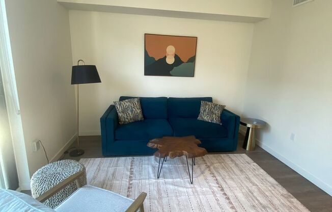 Studio, 1 bath, 436 sqft, $2,495, Unit Unit 412 (Furnished)