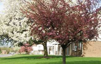 Beautiful landscaping at Waterstone Place Apartments in Indianapolis, IN 46229