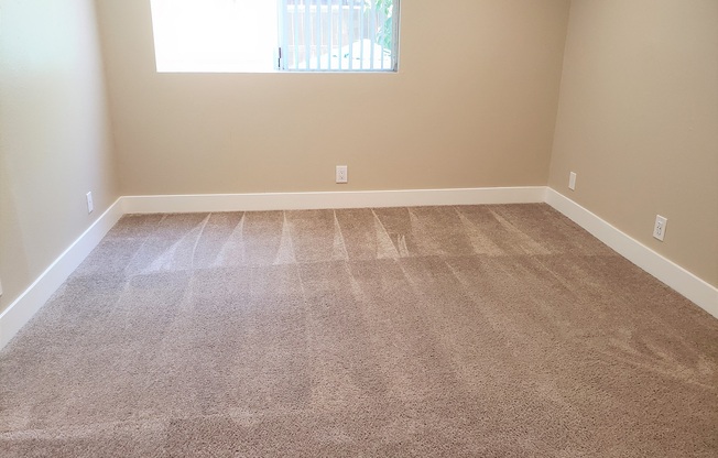 Spacious master BR in the Ebony, 2BR-2BA