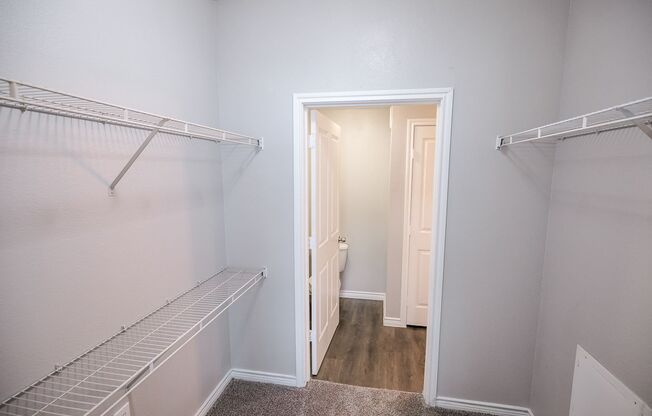 1 bed, 1 bath, 781 sqft, $1,104