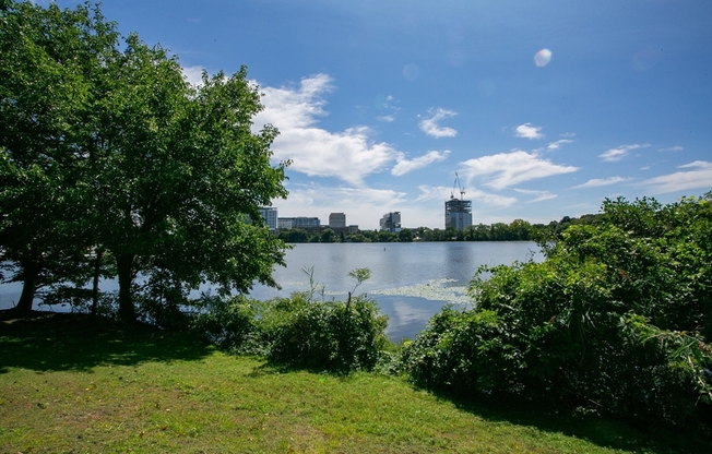 1 bed, 1 bath, 788 sqft, $2,850, Unit 507