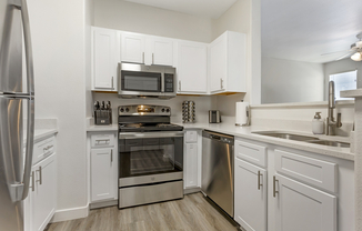 Stainless Steel Appliances