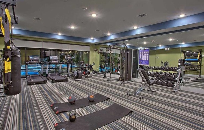 a gym with a lot of machines in it at Hunters Creek Apartments, Texas