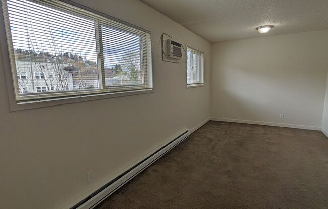 Studio, 1 bath, 350 sqft, $995, Unit 307