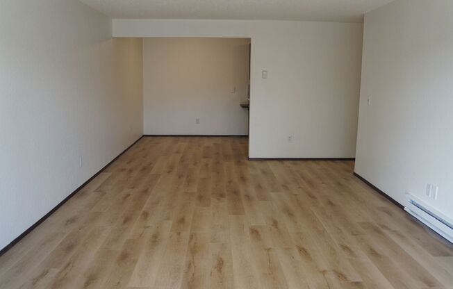 Carmel Apartments