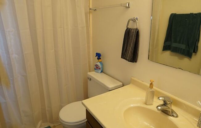 Studio, 1 bath, $800, Unit 4