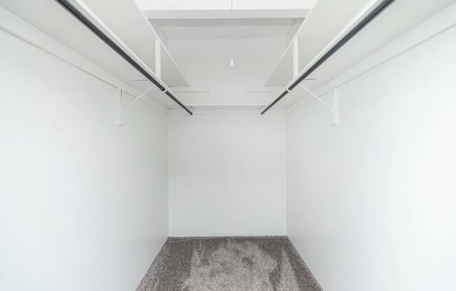 walk-in closet with carpet