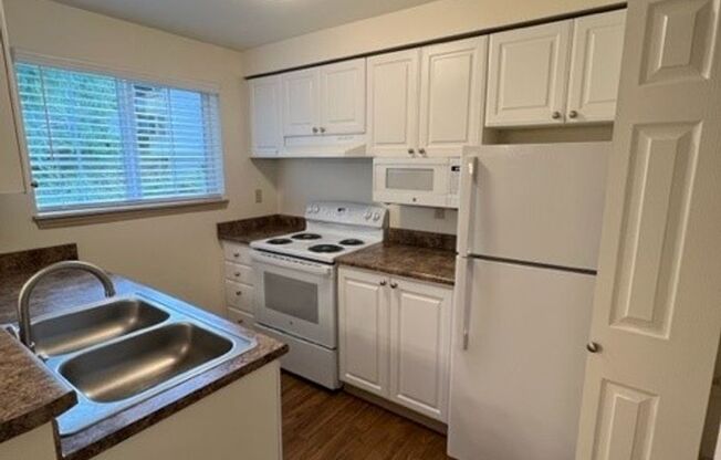 1 bed, 1 bath, 800 sqft, $1,620, Unit 1034