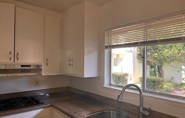 1 bed, 1 bath, $2,550, Unit 1