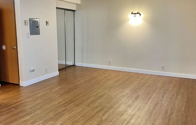 Studio, 1 bath, 393 sqft, $1,295, Unit 318