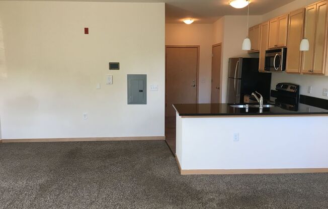 Studio, 1 bath, 501 sqft, $1,415, Unit 5302-208