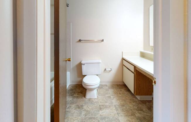 a bathroom with a toilet and a sink