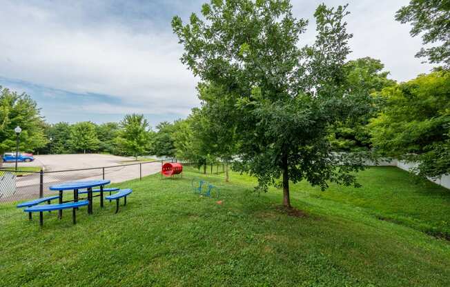 a park with a picnic table and a tree