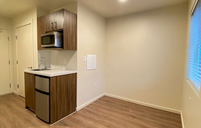 Studio, 1 bath, 175 sqft, $1,195, Unit 206