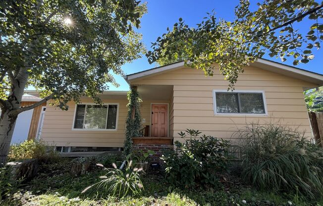 Light-Filled Home with Open Layout, Modern Kitchen, and Private Outdoor Oasis