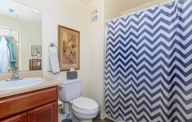 a brown and white shower curtain