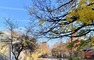 1 bed, 1 bath, $1,125, Unit 6