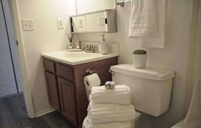 Bathroom with Vanity at Pickwick Farms Apartments in 46260