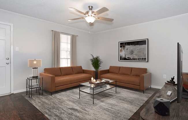 apartment living room with couches