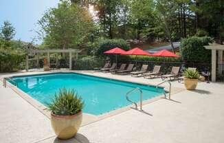 pool with lounge chairs