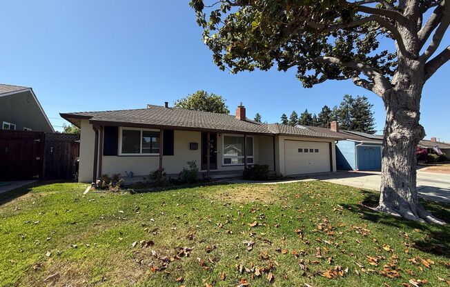 Stunning 3 Bed 2 Bath Home | Spacious Backyard | Attached 2 Car Garage