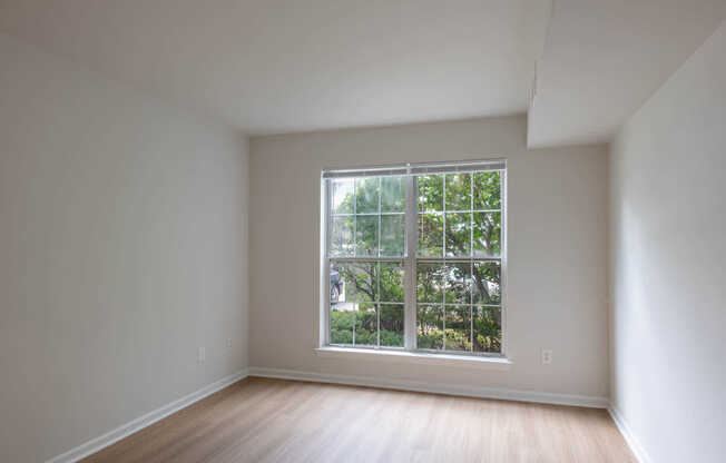 Bedroom with Hard Surface Flooring