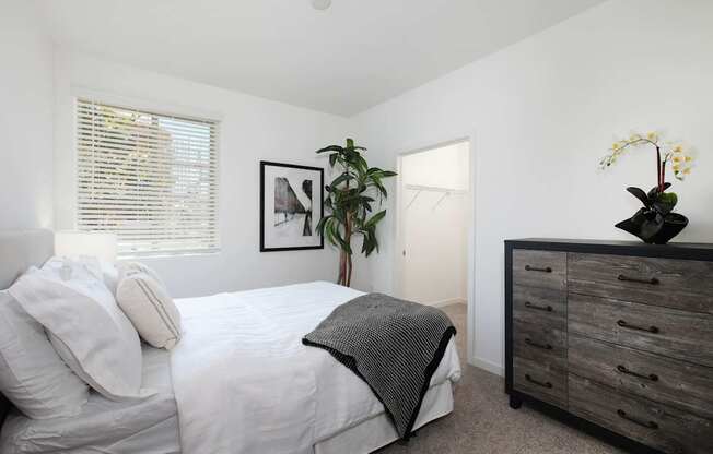 A bedroom with a bed, dresser, and a plant.