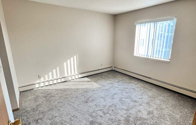 A room with a carpeted floor and a window with blinds.