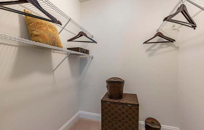 Walk-In Closets With Built-In Shelving at The Apartments at The Sycamores, Virginia