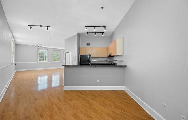 Studio, 1 bath, 1,000 sqft, $1,900, Unit 308