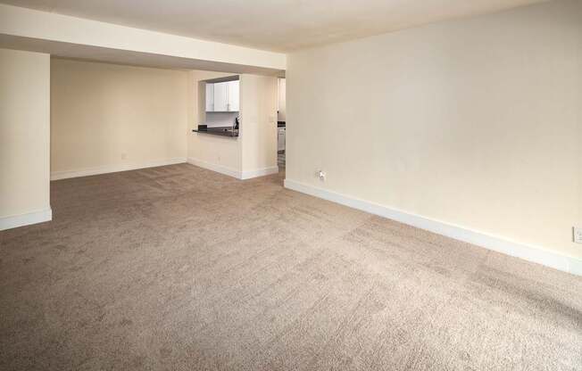 A room with a carpeted floor and a window.