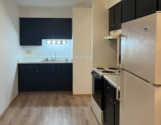 A kitchen with black cabinets and a white fridge.