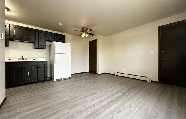 1 bed, 1 bath, 420 sqft, $795, Unit 1052 Unit 3