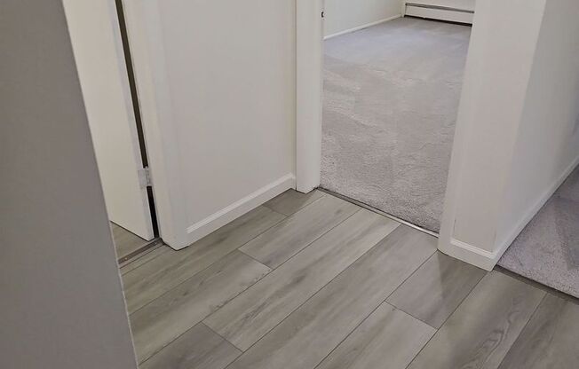 1 bed, 1 bath, 504 sqft, $989, Unit 311