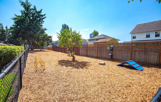 A backyard with a fence, a tree, and a blue object on the ground.