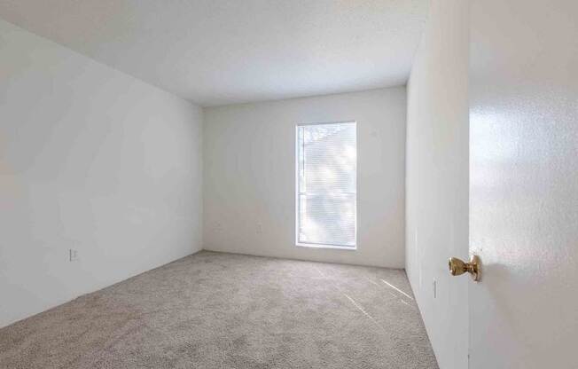 A room with a carpeted floor and a window with blinds.