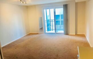 425 Vine St Unit #520