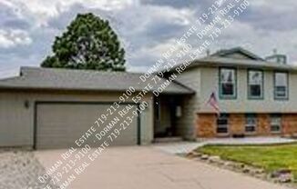 2337 DISTINCTIVE DR