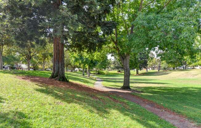 Nearby neighborhood park with waling trails and mature trees and landscaping. 