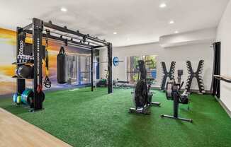 A gym with a green carpet and a variety of equipment.