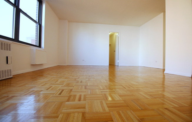 Studio, 1 bath, 471 sqft, $3,000, Unit 10K