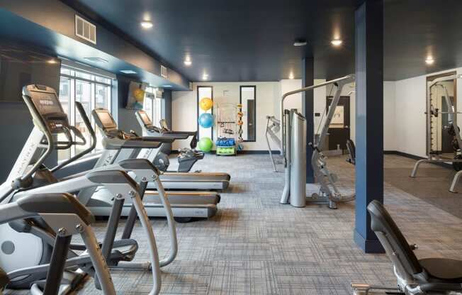 Fitness Equipment at The Fitness Center at The McMillan Apartments in Shoreview, MN 55126