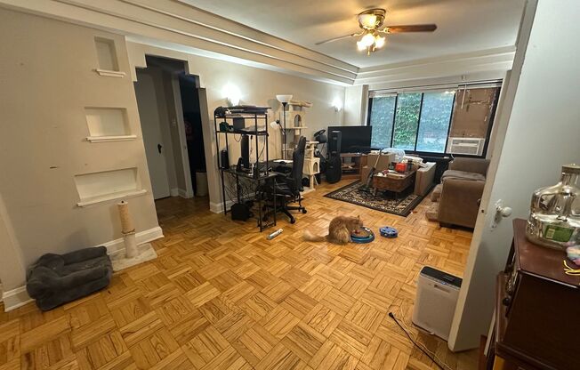 1 bed, 1 bath, $1,095, Unit 104
