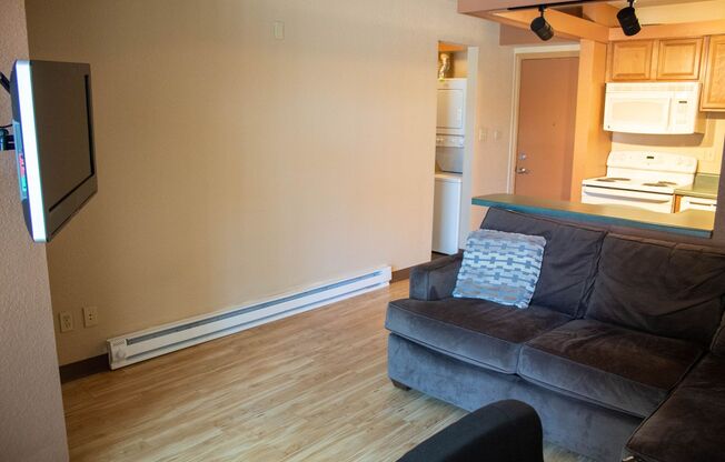 1 bed, 1 bath, 392 sqft, $980